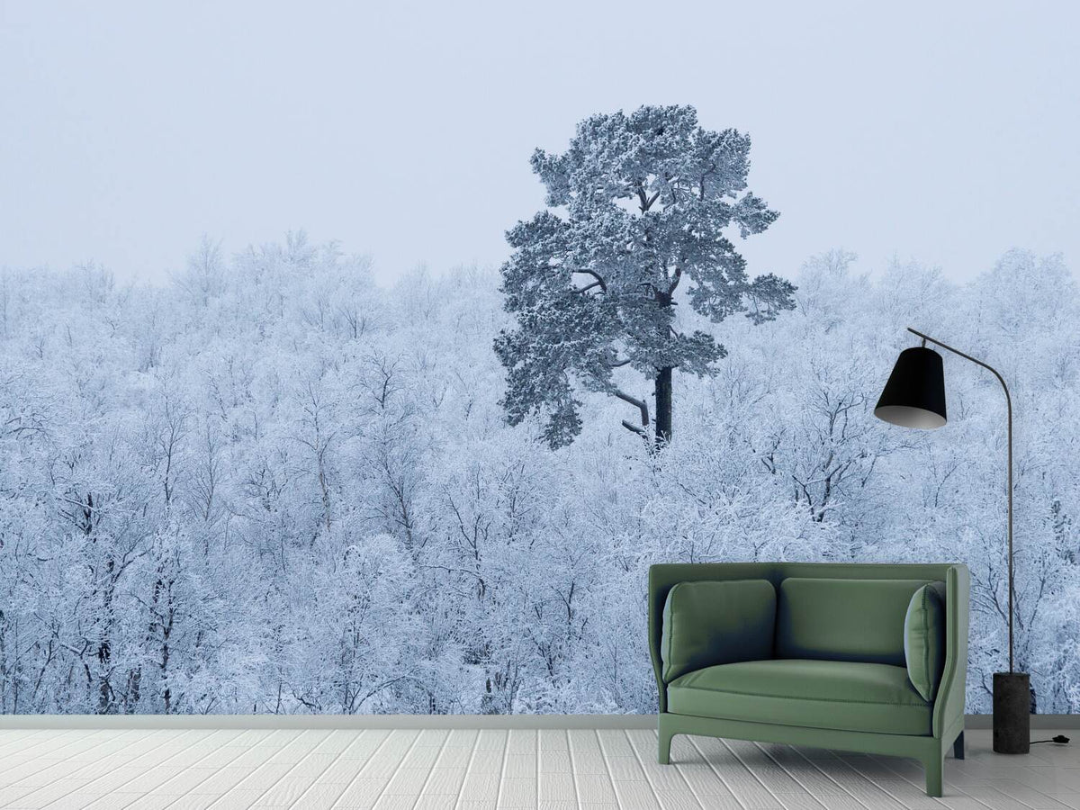 photo-wallpaper-first-snow-x