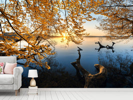 photo-wallpaper-autumn-morning-xoq