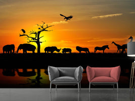 photo-wallpaper-safari-animals-at-sunset