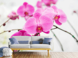 photo-wallpaper-the-symbol-of-orchid