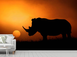 photo-wallpaper-rhino-sunrise