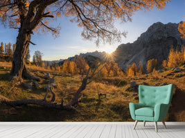 photo-wallpaper-autumn-paradise-x