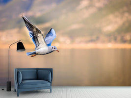 photo-wallpaper-the-flying-seagull