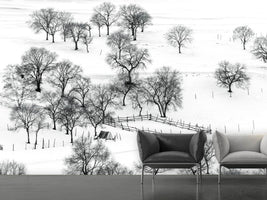 photo-wallpaper-bashang-winter