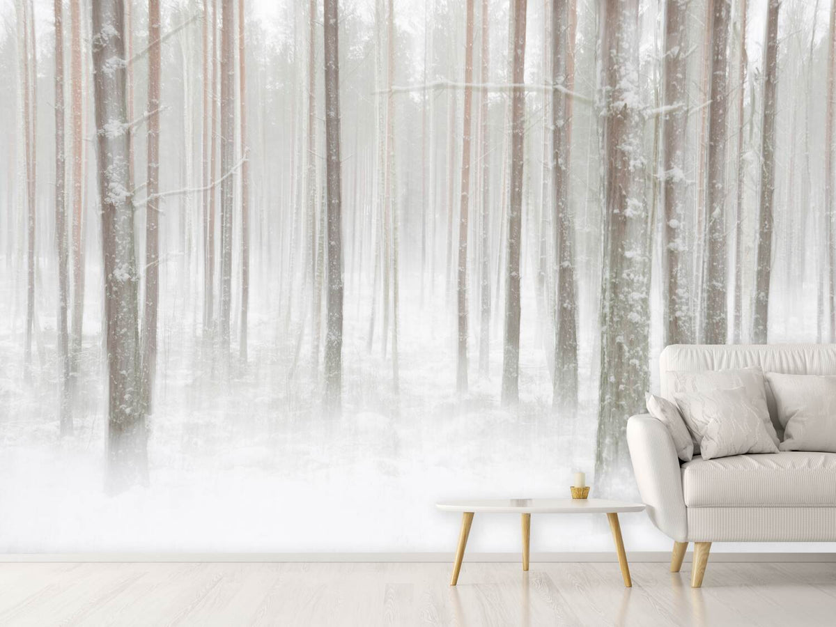 photo-wallpaper-winterforest-in-sweden-x