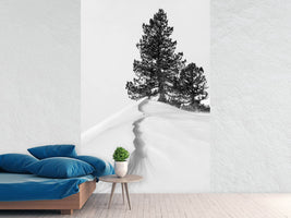 photo-wallpaper-about-the-snow-and-forms