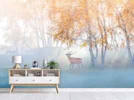 photo-wallpaper-elk-lost-in-mist-x