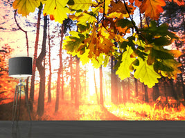 photo-wallpaper-autumn