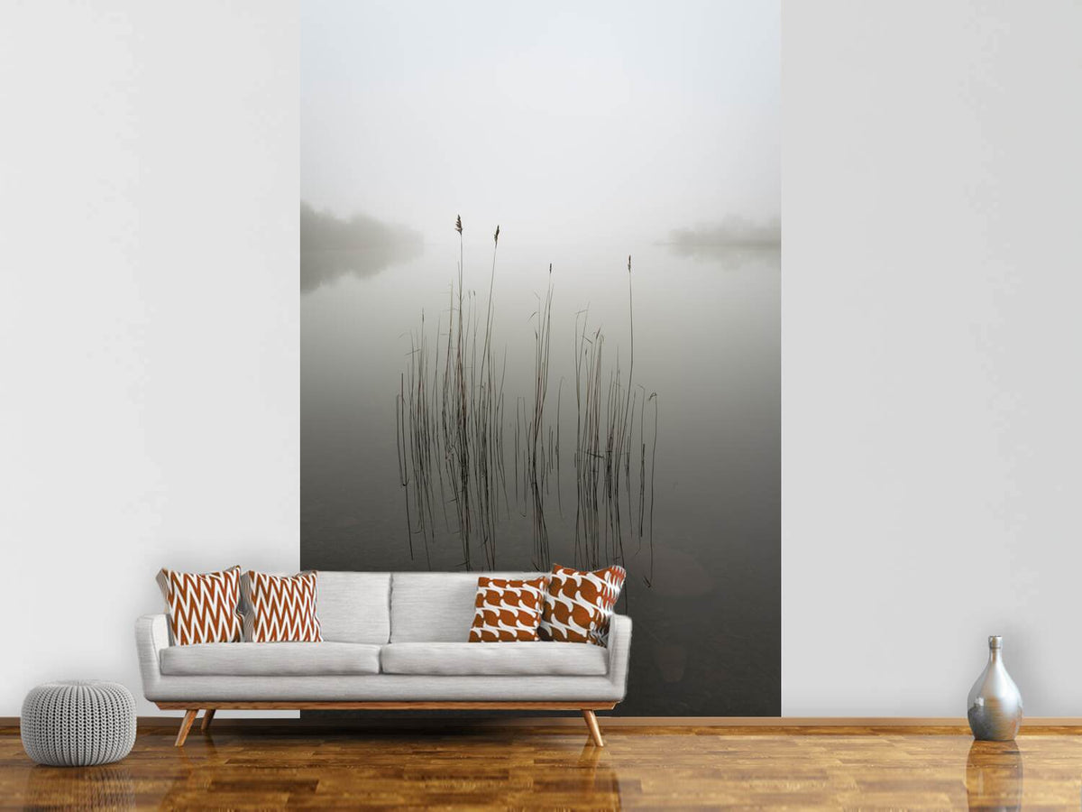 photo-wallpaper-reeds-in-the-mist