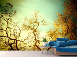 photo-wallpaper-autumn-trees-ii