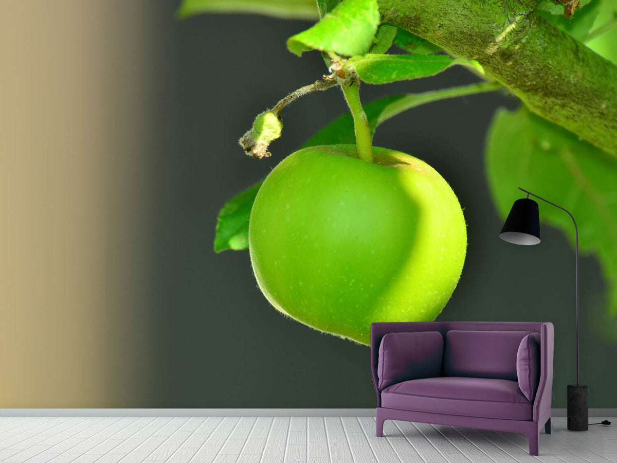 photo-wallpaper-green-apple