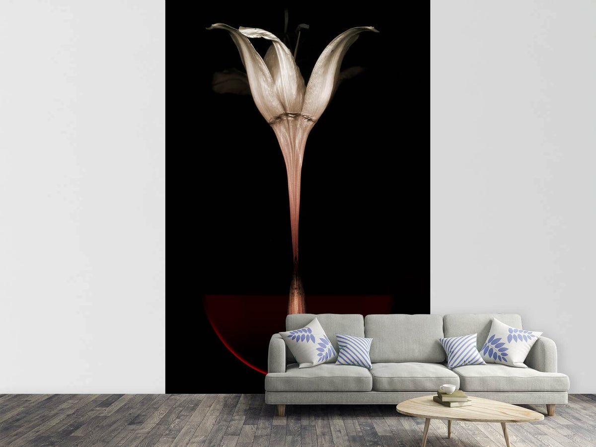 photo-wallpaper-floating-lily