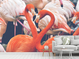 photo-wallpaper-colorful-flamingos