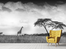 photo-wallpaper-and-i-dreamed-of-africa-x