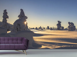 photo-wallpaper-in-lapland