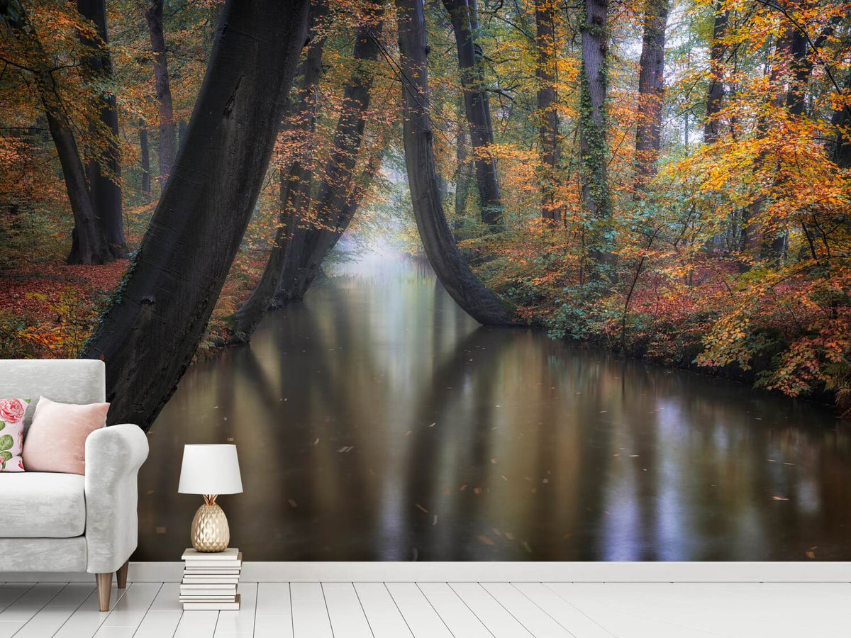 photo-wallpaper-enchanted-autumn-x