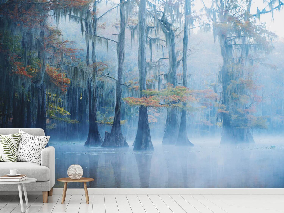 photo-wallpaper-foggy-swamp-morning-x