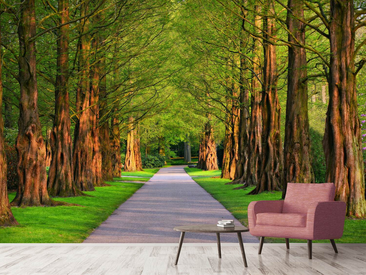 photo-wallpaper-beautiful-avenue-in-nature