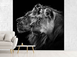 photo-wallpaper-lion-and-lioness-portrait