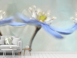 photo-wallpaper-dancing-anemones