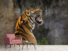 photo-wallpaper-attention-tiger