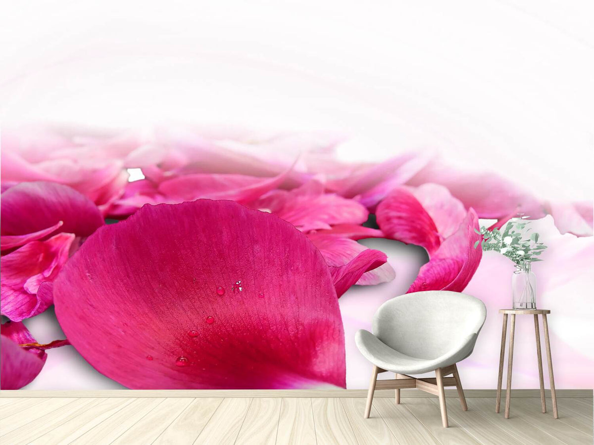 photo-wallpaper-rose-petals-in-pink-iii