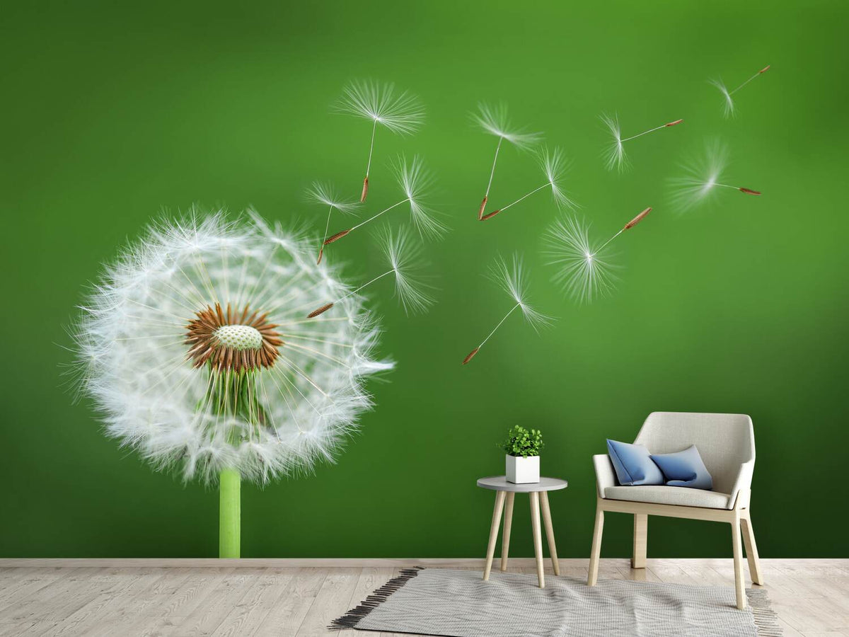 photo-wallpaper-dandelion-blowing-x