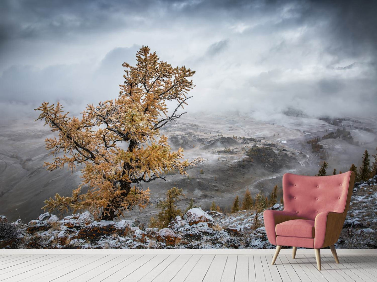 photo-wallpaper-cold-autumn-morning-in-the-mountains-x