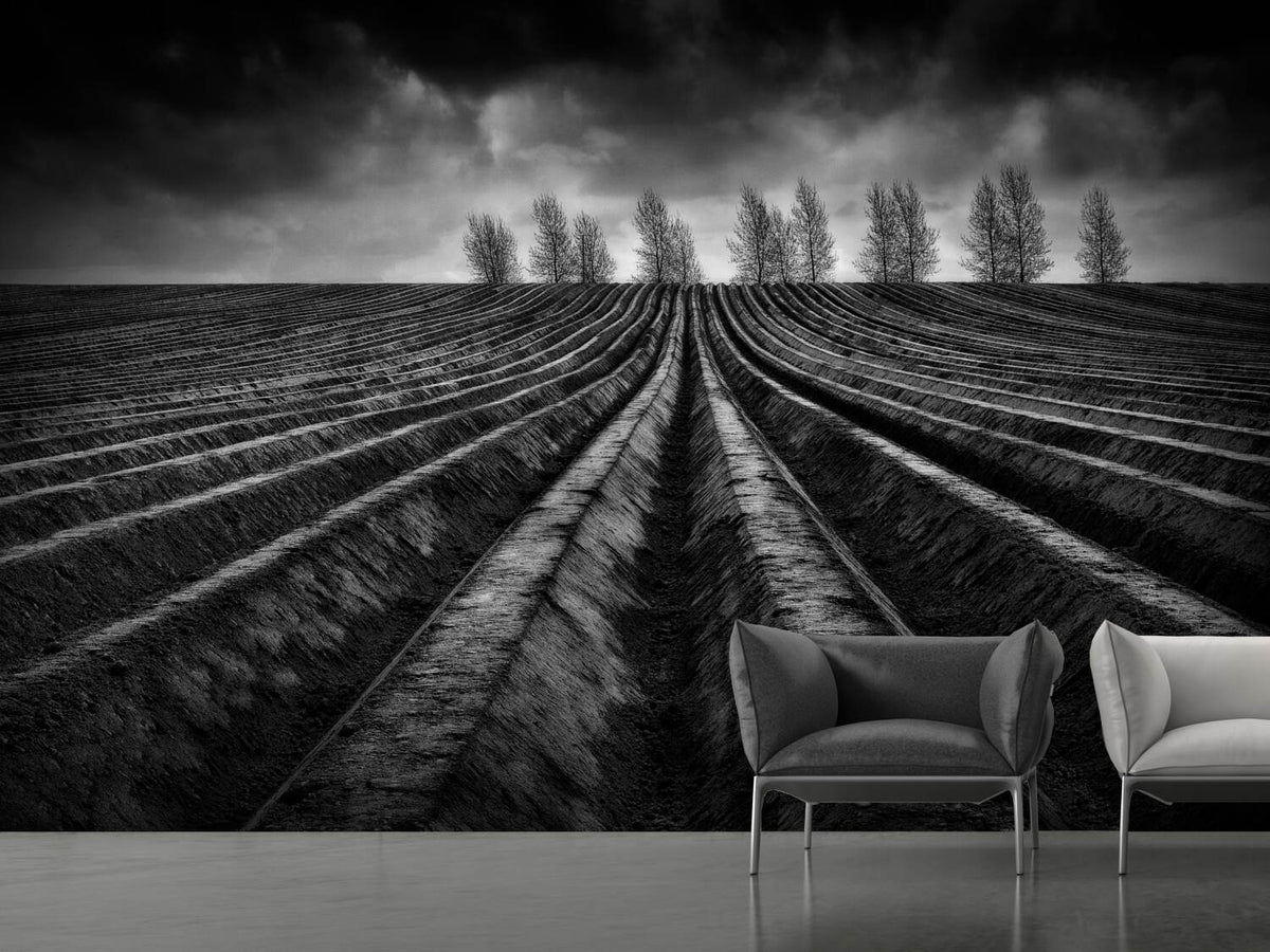 photo-wallpaper-flanders-fields-iii-x