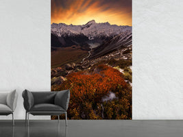 photo-wallpaper-mount-sefton