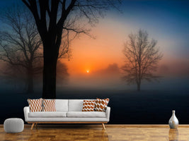 photo-wallpaper-foggy-sunrise-x