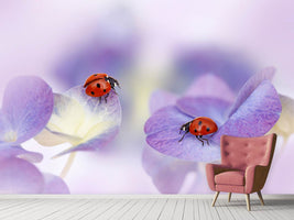 photo-wallpaper-red-and-purple-x