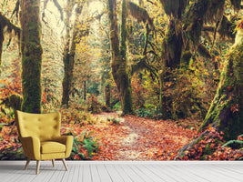 photo-wallpaper-fairies-forest