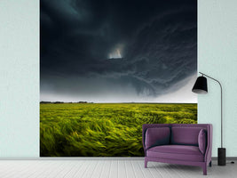 photo-wallpaper-sommergewitter-ii