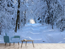 photo-wallpaper-finally-winter