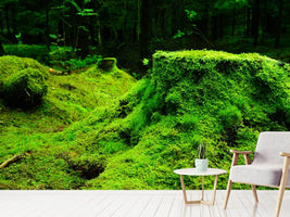 photo-wallpaper-moss-in-the-forest