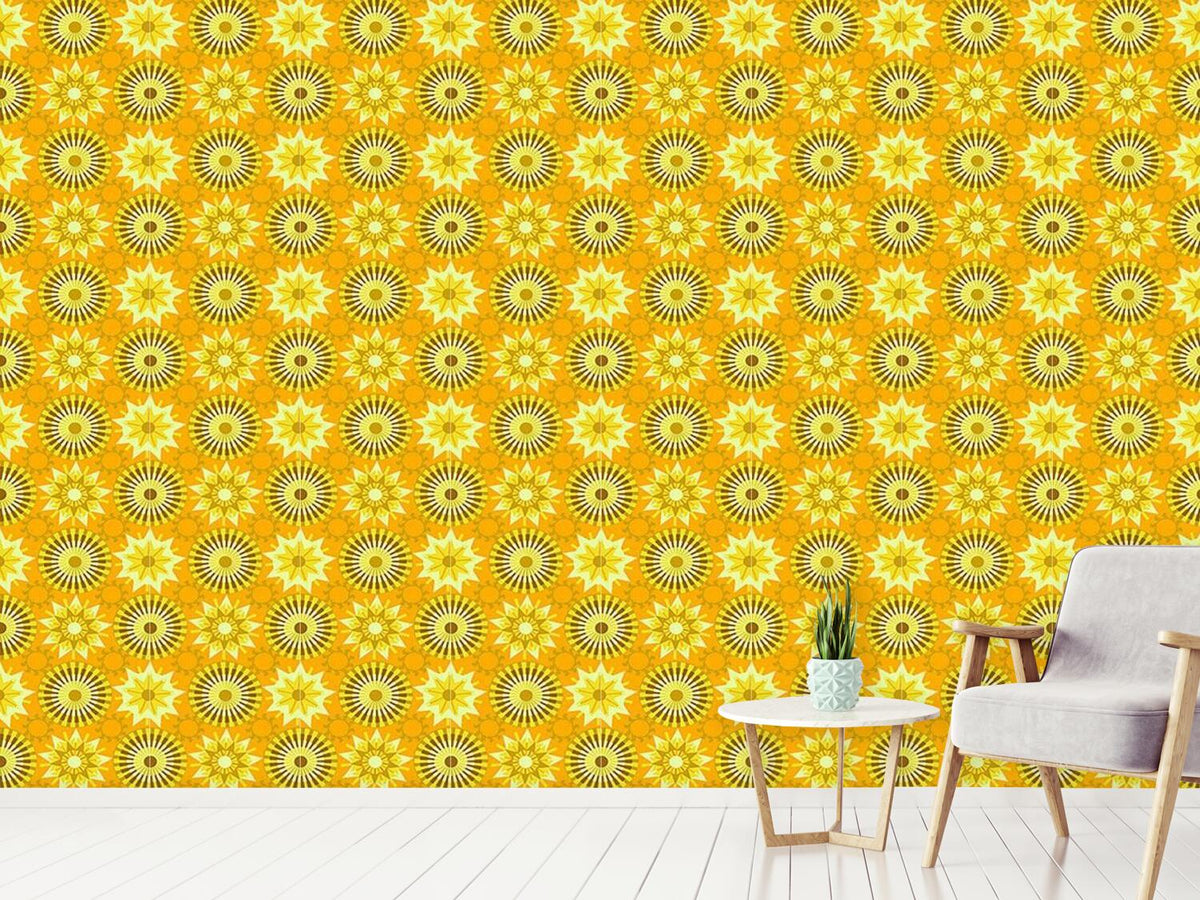 patterned-wallpaper-circles-in-the-sunlight