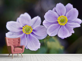 photo-wallpaper-2-flowers