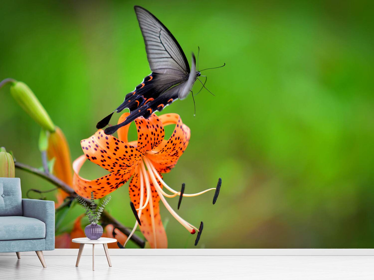 photo-wallpaper-the-tiger-lily-and-the-butterfly