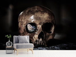 photo-wallpaper-the-skull