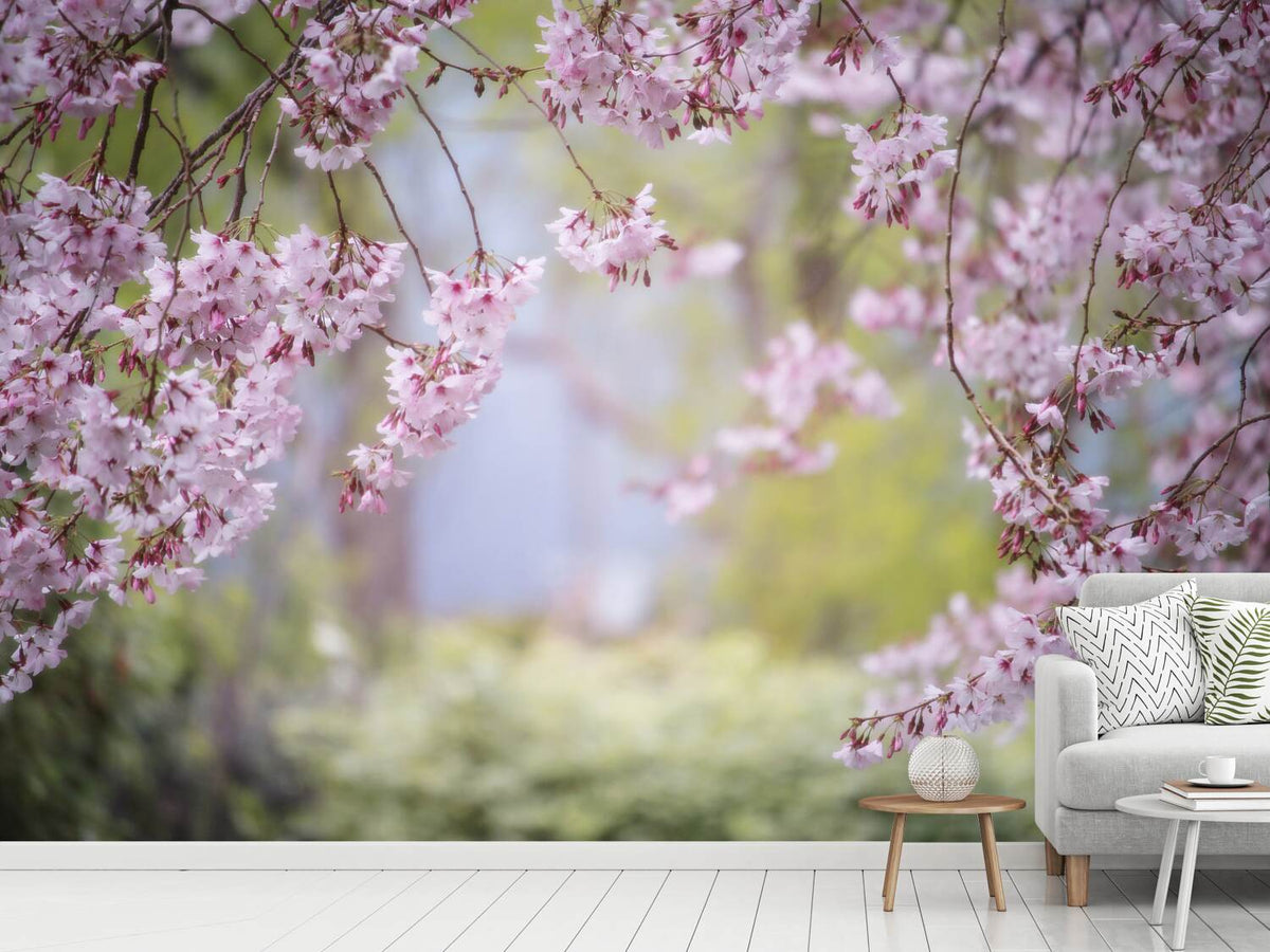 photo-wallpaper-in-the-beautiful-spring