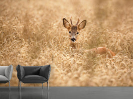 photo-wallpaper-deer-in-the-field-x