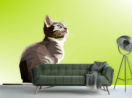 photo-wallpaper-pop-art-cat-xl