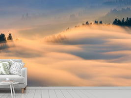 photo-wallpaper-misty-morning-a