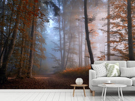 photo-wallpaper-autumn-colors-x