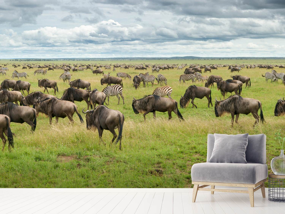 photo-wallpaper-great-migration-in-serengeti-plains-x