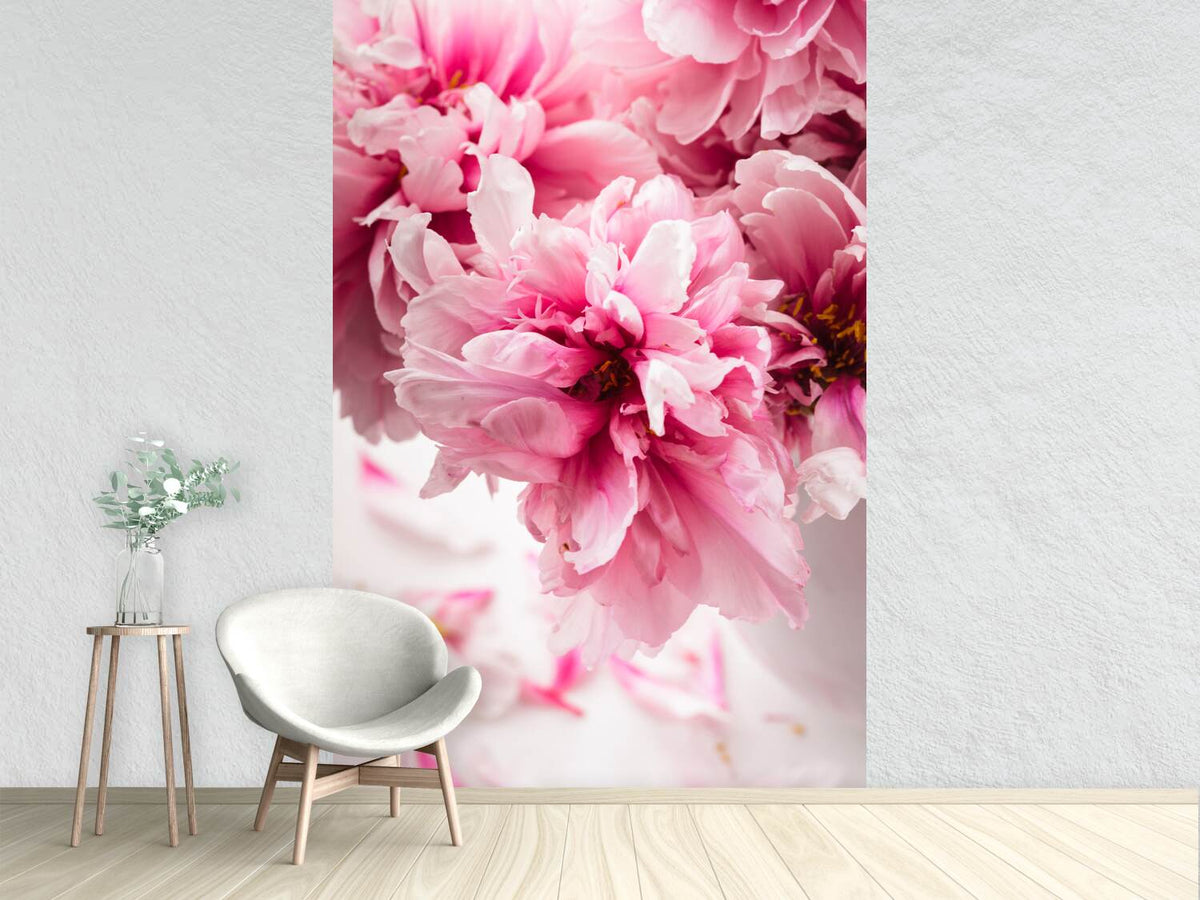 photo-wallpaper-peonies