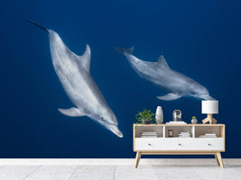 photo-wallpaper-bottlenose-dolphins