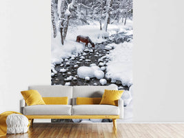 photo-wallpaper-drinking-in-snow