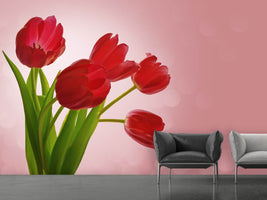 photo-wallpaper-red-tulips-bouquet